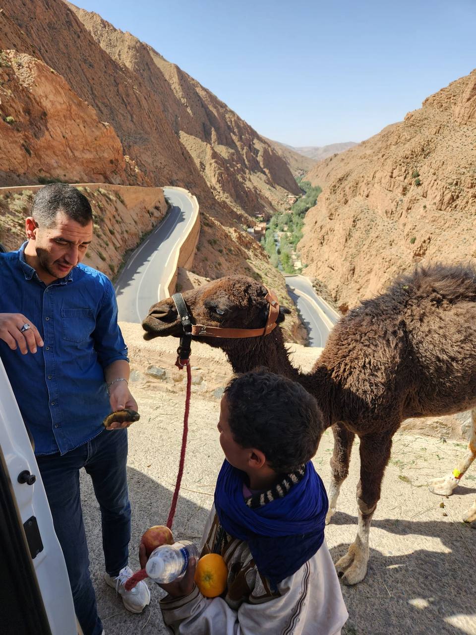 Signature Tours Morocco — private tour moment